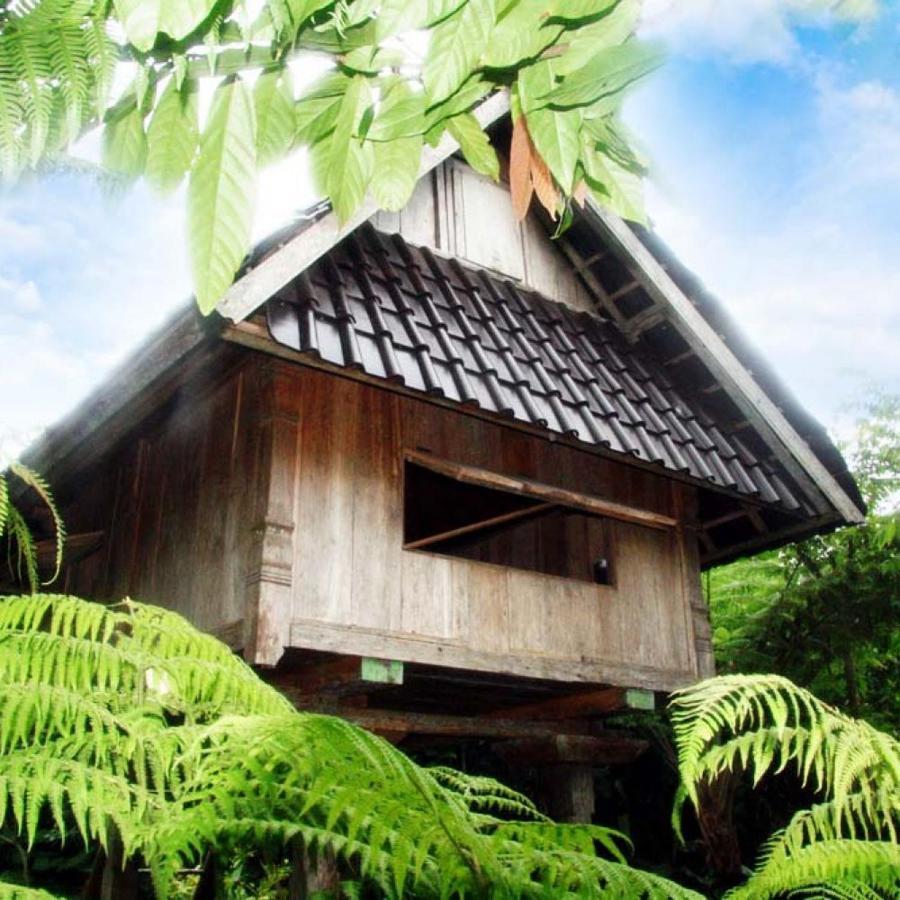 Bali Mountain Retreat Villa Selemadeg  Exterior photo